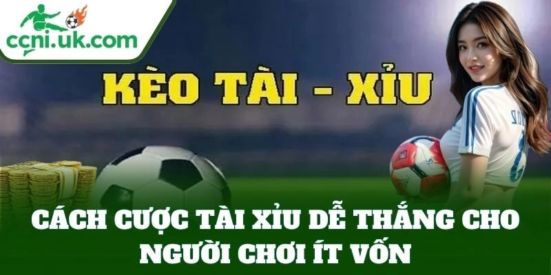 Cách bắt bóng đá Tài Xỉu? 5 bí kíp cược chuẩn.