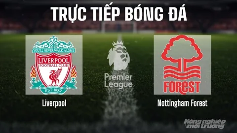 Chuyên gia nhận định bóng đá MU hôm nay： Chiến thắng hay thất bại？