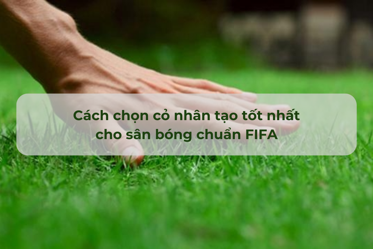 Cỏ nhân tạo sân bóng đá FIFA dùng loại nào? (Bí quyết chọn cỏ tốt nhất)