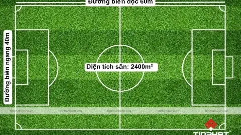 Tuyển người đá bóng đá phủi sân 7 ở đâu？ (Kinh nghiệm từ chuyên gia).